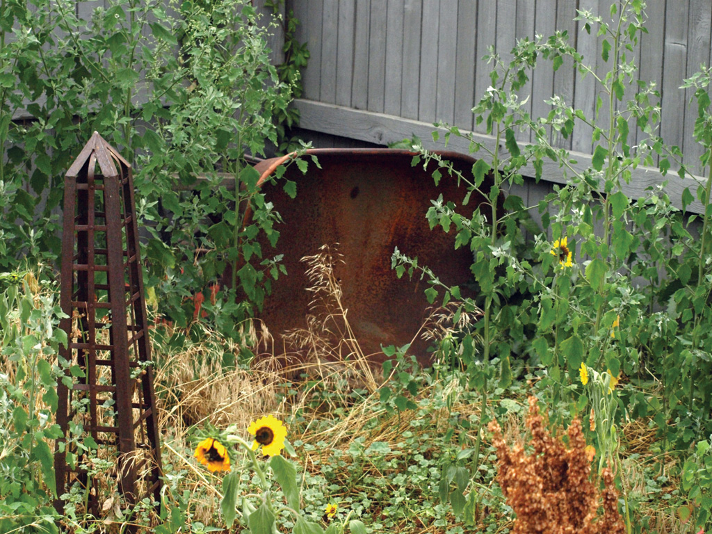 garden
