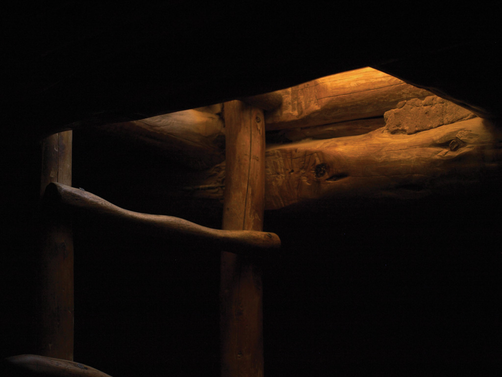ladder